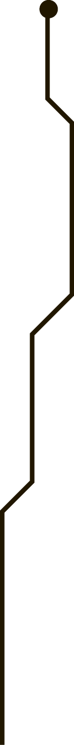 Polygon
