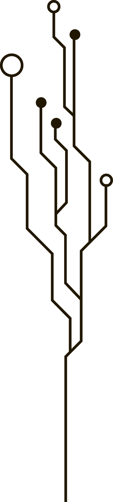 Polygon