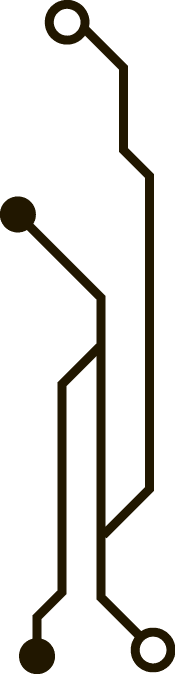 Polygon
