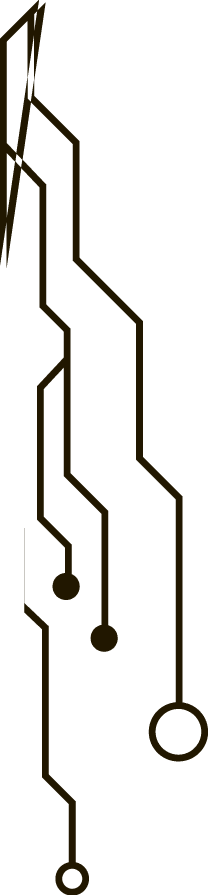 Polygon