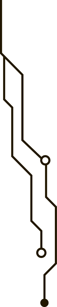 Polygon