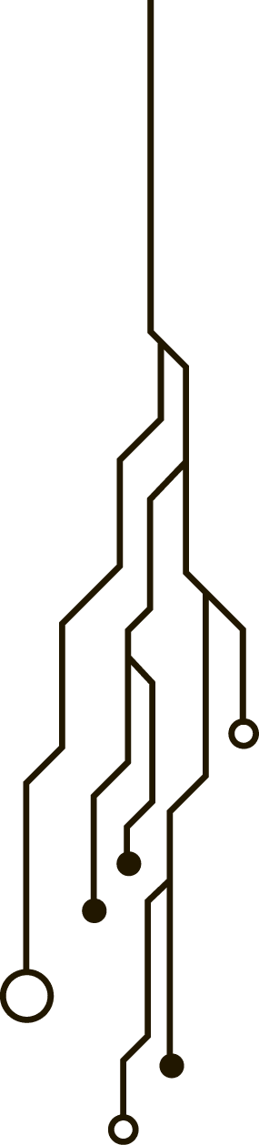 Polygon